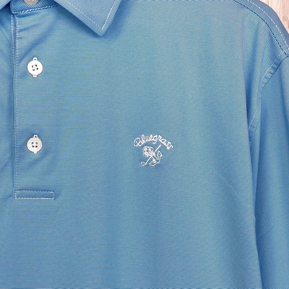 FootJoy Men’s FJ Striped Short Sleeve Polo Golf Shirt Size Large - Picture 3 of 8